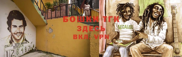 дмт Вязьма