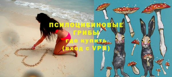 дмт Вязьма