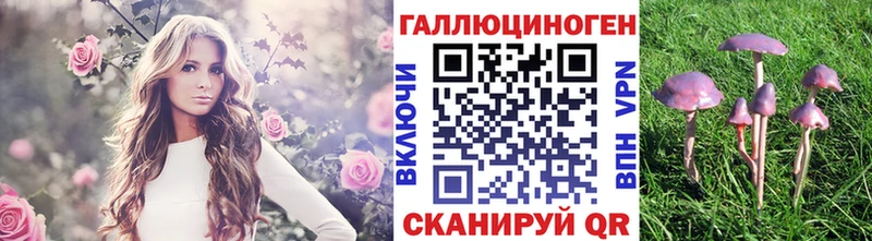 Псилоцибиновые грибы MAGIC MUSHROOMS наркошоп Находка